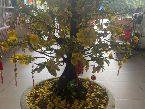 Cảnh Thảo Nguyên – Không Gian Dừng Chân Giữa Thiên Nhiên