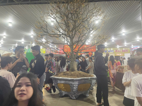 Dấu Ấn Khách Hàng Tại Cảnh Thảo Nguyên