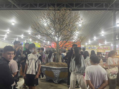 Dấu Ấn Khách Hàng Tại Cảnh Thảo Nguyên